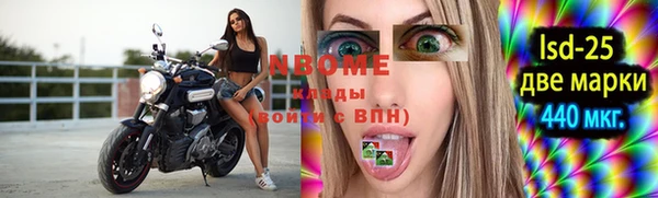 винт Каменка