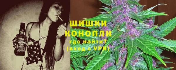 спайс Арсеньев