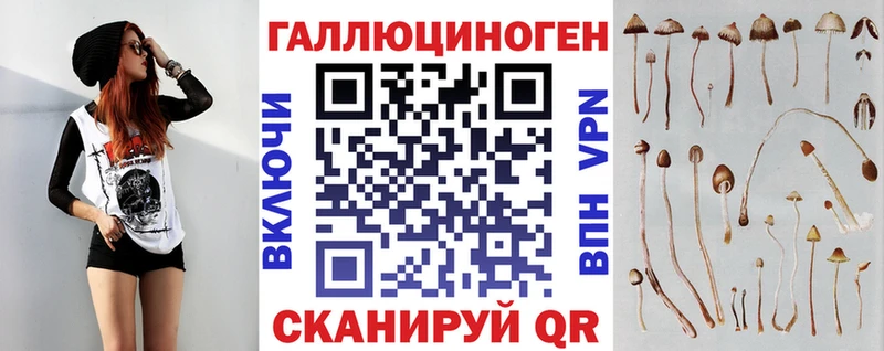 Галлюциногенные грибы GOLDEN TEACHER  KRAKEN вход  Отрадный 